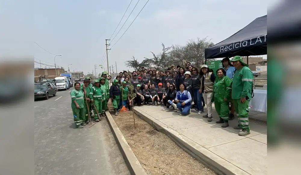 Carabayllo: 200 árboles fueron plantados en campaña de reforestación Carabayllo: 200 árboles fueron plantados en campaña de reforestación