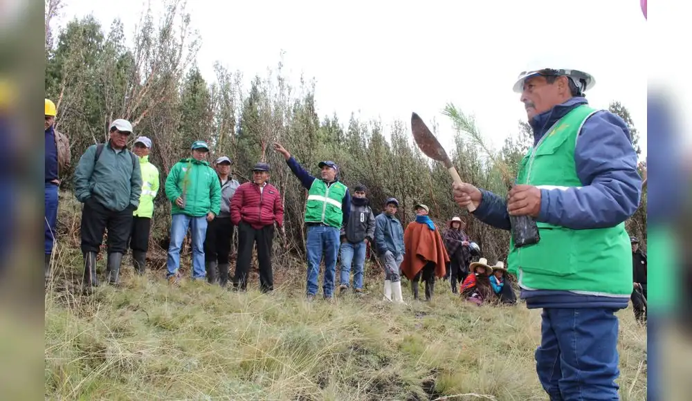 Gobiernos regionales reciben asistencia para ordenamiento forestal Gobiernos regionales reciben asistencia para ordenamiento forestal