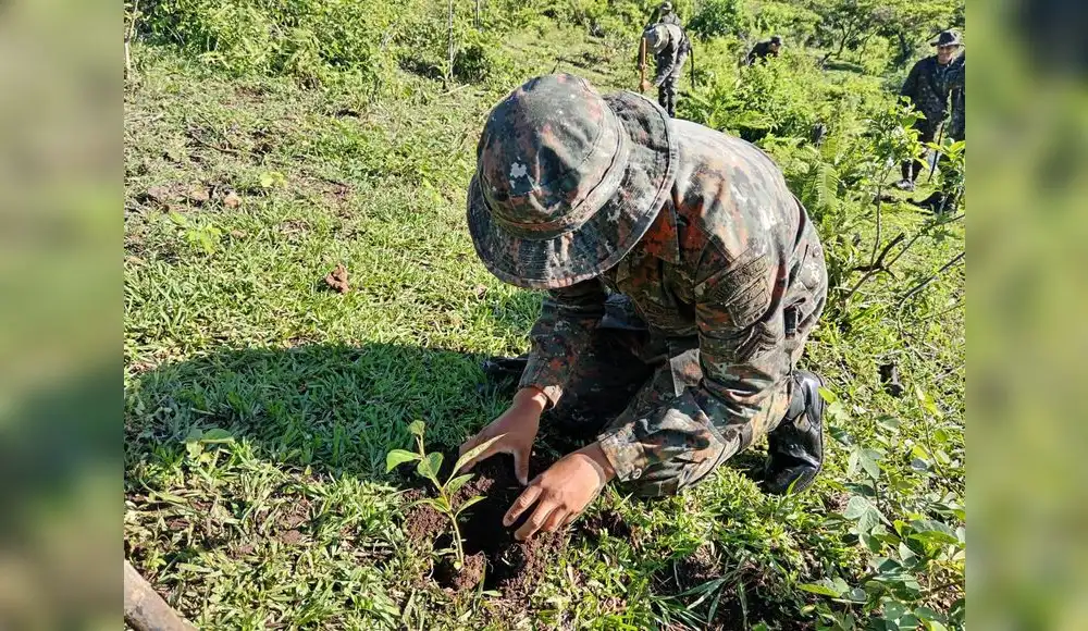 Marina de Guerra impulsa reforestación en la Amazonía Marina de Guerra impulsa reforestación en la Amazonía