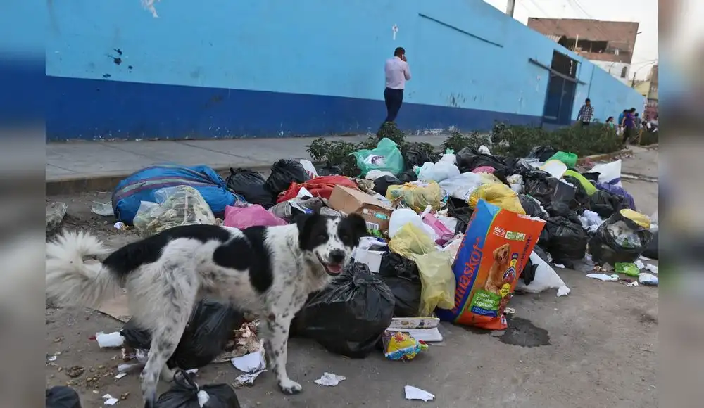 OEFA detecta 165 zonas críticas por acumulación de basura OEFA detecta 165 zonas críticas por acumulación de basura