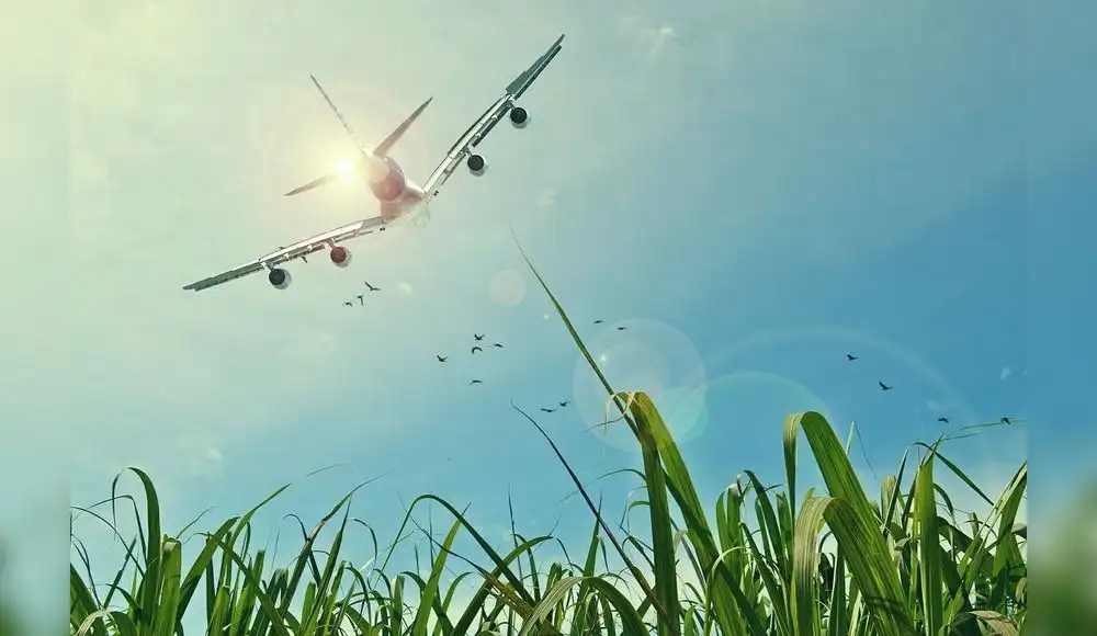 Ecopilotaje: La tendencia de las aerolíneas a favor del medioambiente Ecopilotaje: La tendencia de las aerolíneas a favor del medioambiente