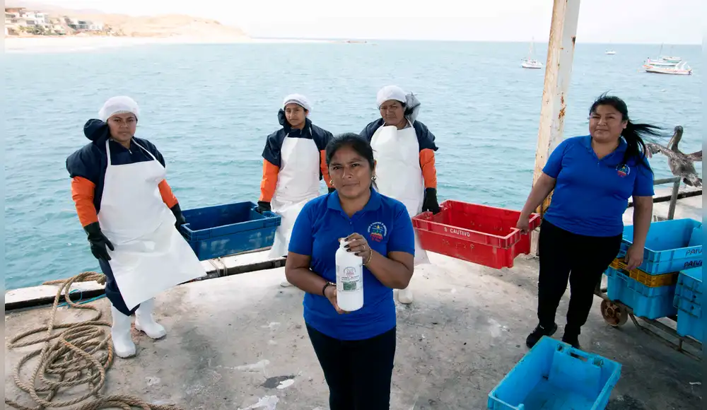 Mujeres emprendedoras convierten desechos de pescado en biofertilizantes