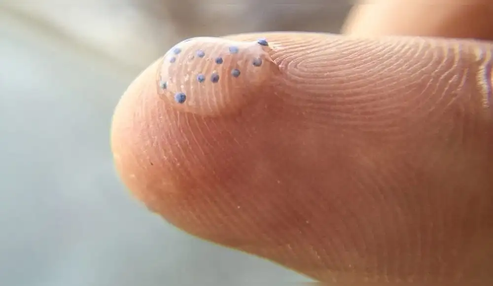 Microplásticos podrían triplicarse para el año 2060 Microplásticos podrían triplicarse para el año 2060