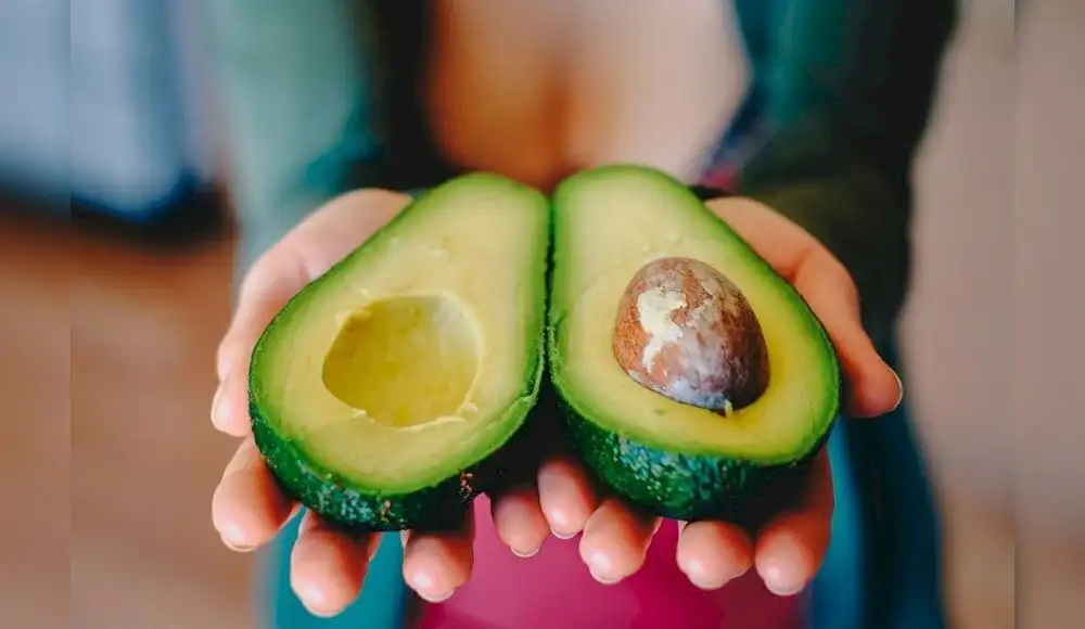 Desarrollan bioplástico a partir de residuos industriales de la palta Desarrollan bioplástico a partir de residuos industriales de la palta