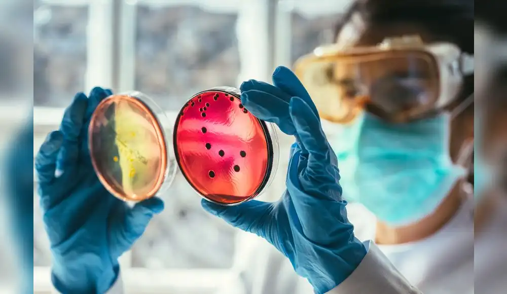 Cambio climático agravará problema de resistencia a los antimicrobianos Cambio climático agravará problema de resistencia a los antimicrobianos