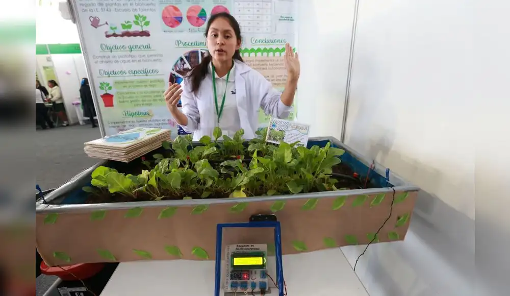 Alumnos de la selva desarrollan proyectos para proteger medio ambiente Alumnos de la selva desarrollan proyectos para proteger medio ambiente