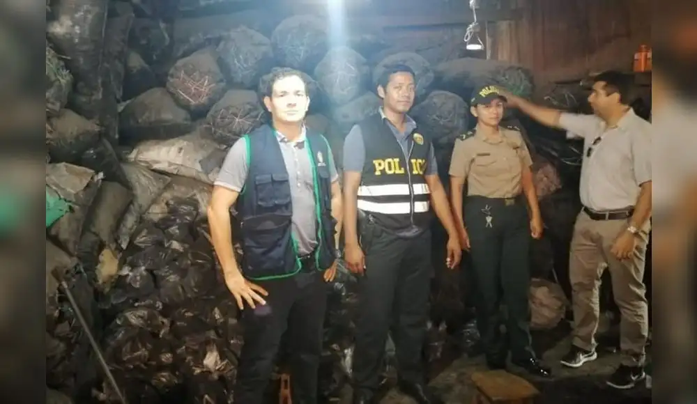 Detectan 14 toneladas de carbón ilegal en San Martín