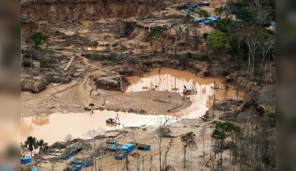 Recuperación de suelos afectados por minería ilegal tardará 10 años Recuperación de suelos afectados por minería ilegal tardará 10 años