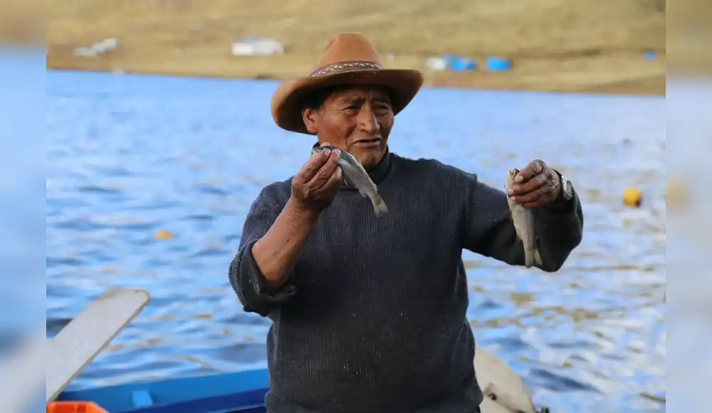 Puno pone en marcha “Proyecto Pejerrey” Puno pone en marcha “Proyecto Pejerrey”