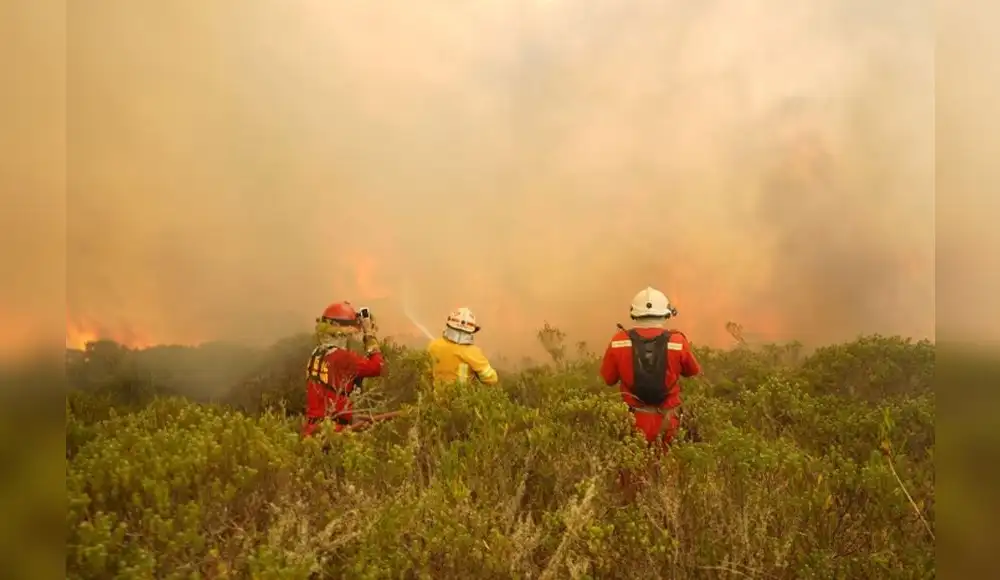 Incendios forestales amenazan a más de un millón de personas Incendios forestales amenazan a más de un millón de personas