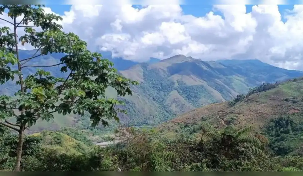 NCI inicia estudios para nueva área de conservación regional en Huamalíes–Monzón NCI inicia estudios para nueva área de conservación regional en Huamalíes–Monzón