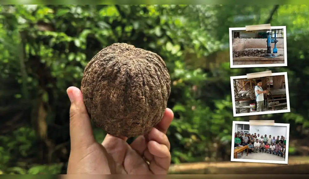 Lanzan Hoja de Ruta para transformar la industria de la castaña amazónica en Madre de Dios al 2030 Lanzan Hoja de Ruta para transformar la industria de la castaña amazónica en Madre de Dios al 2030