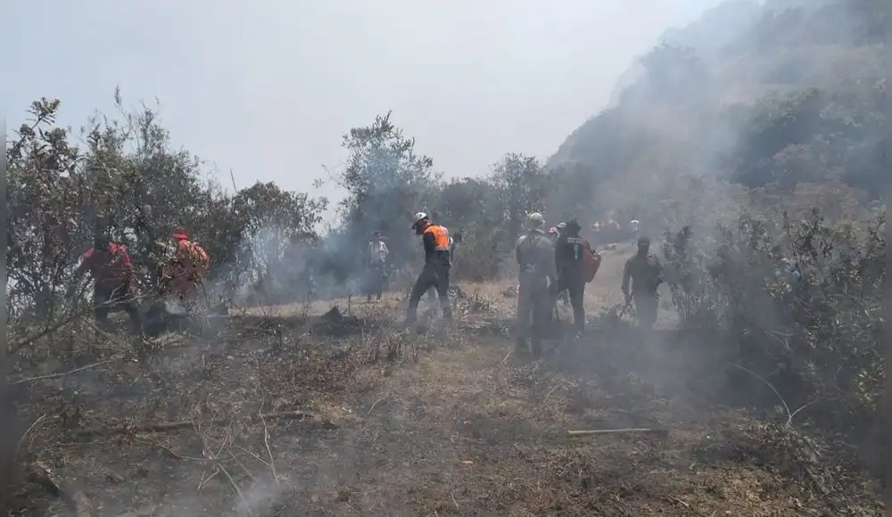 Incendio forestal arrasa con 15 hectáreas de bosque en La Libertad Incendio forestal arrasa con 15 hectáreas de bosque en La Libertad