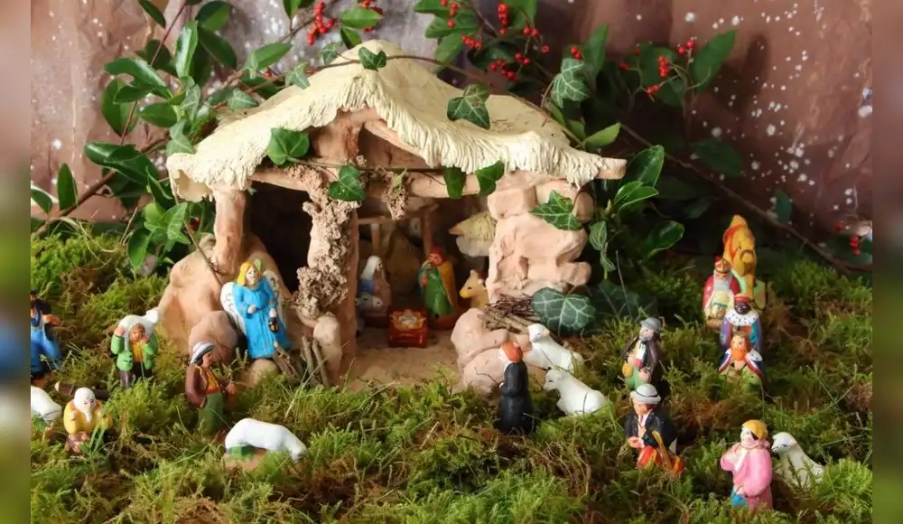 Musgos se encuentran en riesgo por decoraciones navideñas Musgos se encuentran en riesgo por decoraciones navideñas