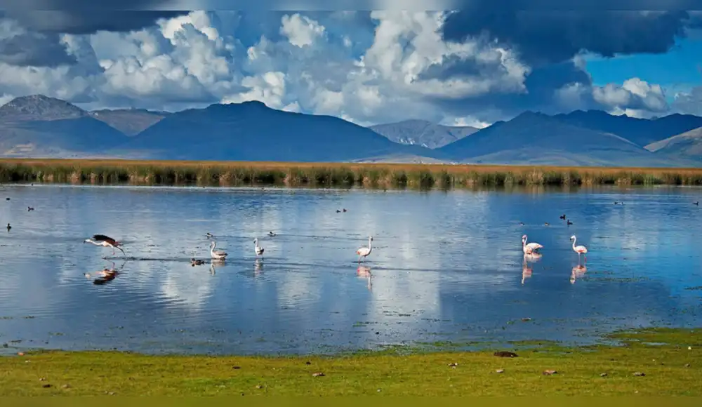 Aprueban Plan Maestro de Reserva Nacional de Junín Aprueban Plan Maestro de Reserva Nacional de Junín
