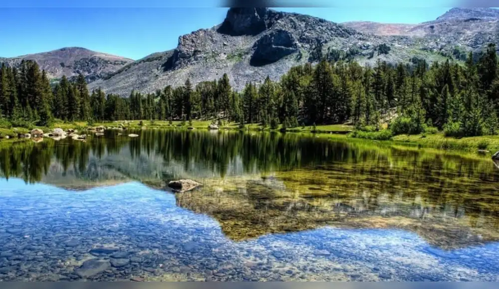Rusia: Polémica ley permite deforestación en el lago más profundo del mundo Rusia: Polémica ley permite deforestación en el lago más profundo del mundo