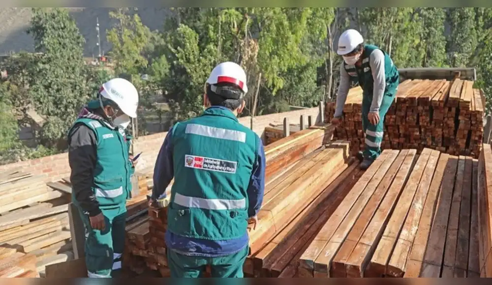 Perú produjo más de 2 millones de metros cúbicos de madera en el 2025