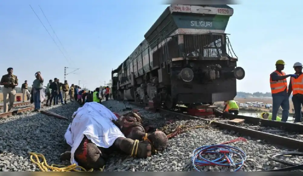 India: Siete elefantes mueren arrollados por tren de alta velocidad India: Siete elefantes mueren arrollados por tren de alta velocidad