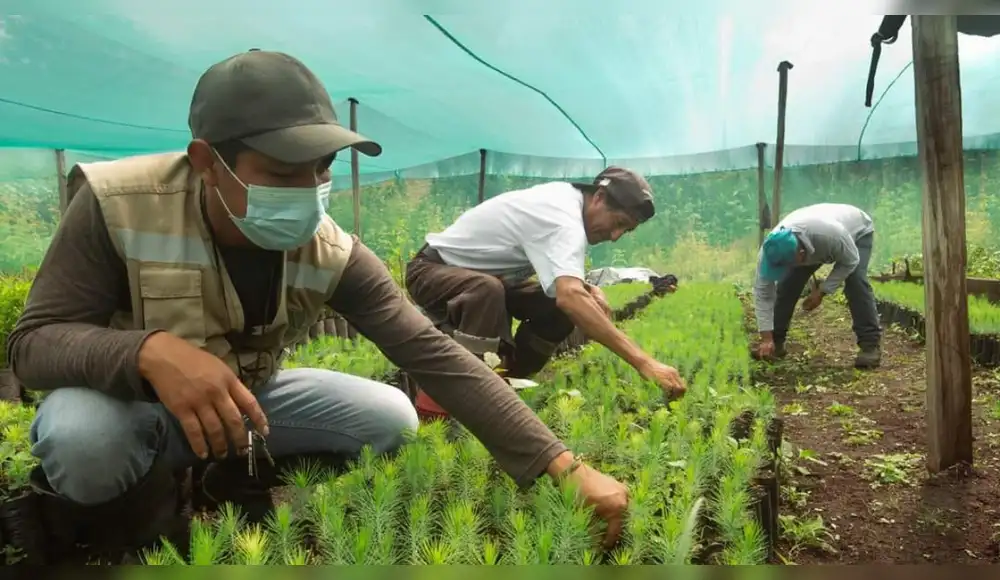 Firman convenio para fortalecer conservación ambiental en Junín