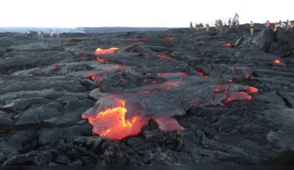 Microbios logran colonizar lava volcánica en Islandia