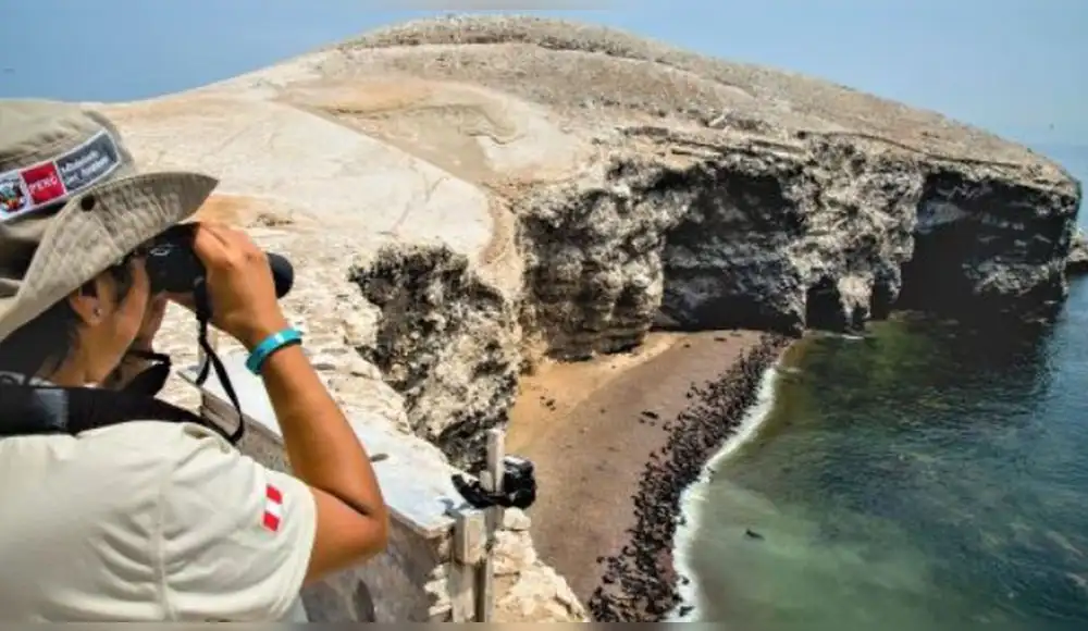 Aprueban Plan Maestro de la Reserva Nacional de Paracas