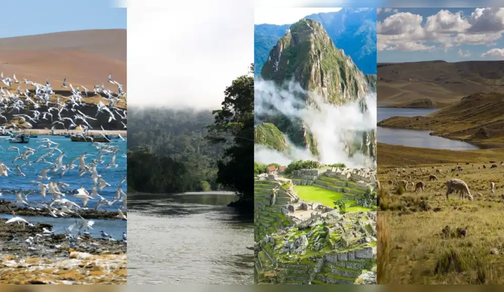 Las fechas clave del 2026 que marcarán la acción climática y la protección de la biodiversidad en el Perú Las fechas clave del 2026 que marcarán la acción climática y la protección de la biodiversidad en el Perú