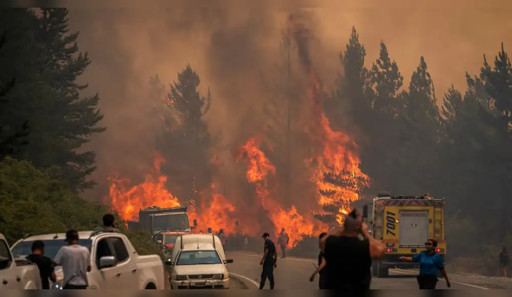 Incendios forestales arrasan 15.000 hectáreas boscosas en la Patagonia Incendios forestales arrasan 15.000 hectáreas boscosas en la Patagonia