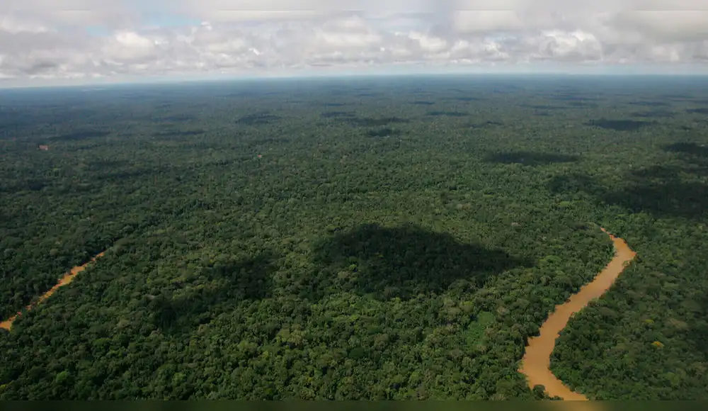 Cerca de 1.8 millones de hectáreas de bosques conservadas en el 2025