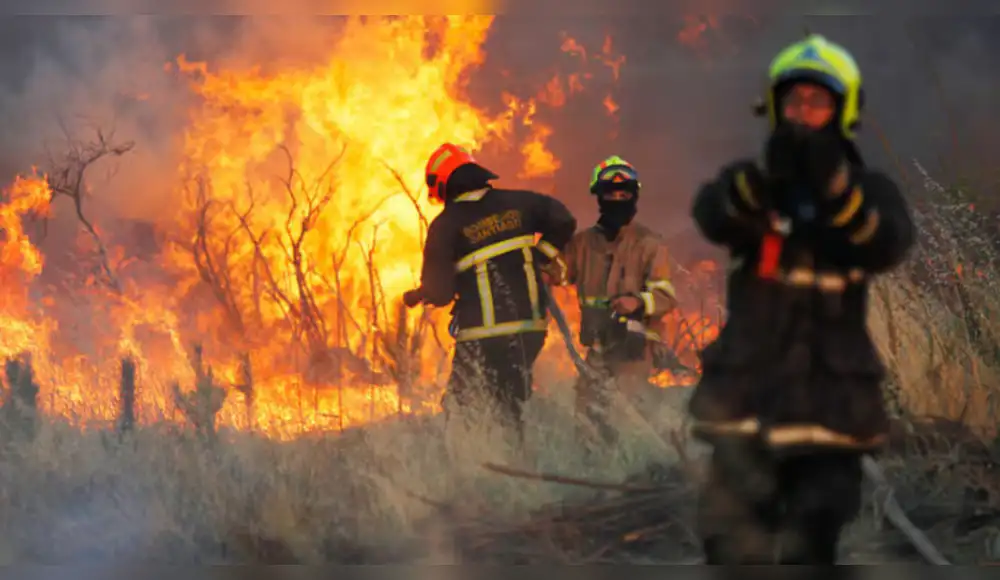 Chile: se elevan a 20 víctimas por terribles incendios forestales Chile: se elevan a 20 víctimas por terribles incendios forestales
