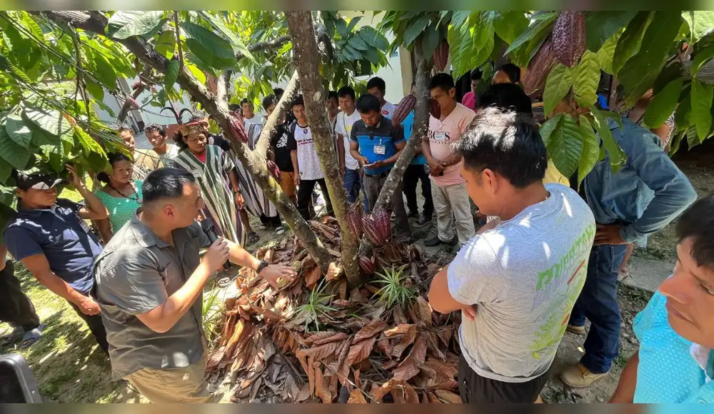 Ucayali: Comunidades nativas refuerzan vigilancia de bosques Ucayali: Comunidades nativas refuerzan vigilancia de bosques