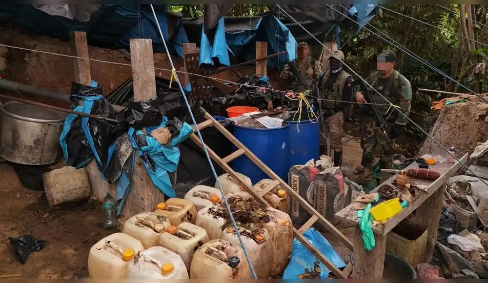 Destruyen más de 7 toneladas de hoja de coca ilegal en el Vraem Destruyen más de 7 toneladas de hoja de coca ilegal en el Vraem