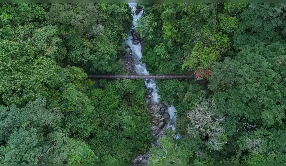 El mundo invierte 30 veces más en destruir la naturaleza que en protegerla, advierte la ONU El mundo invierte 30 veces más en destruir la naturaleza que en protegerla, advierte la ONU