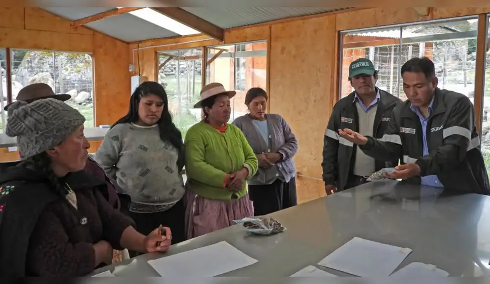 Pequeñas productoras salen adelante con hongos comestibles Pequeñas productoras salen adelante con hongos comestibles