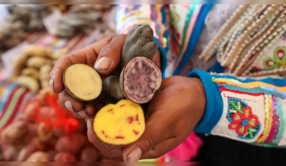 Perú avanza en materia de conservación de la biodiversidad