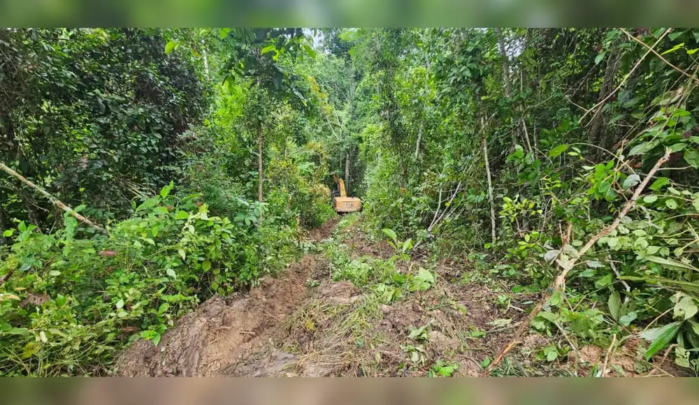 Destruyen maquinaria valorizada en más de S/ 4 millones dentro del área de conservación Panguana Destruyen maquinaria valorizada en más de S/ 4 millones dentro del área de conservación Panguana