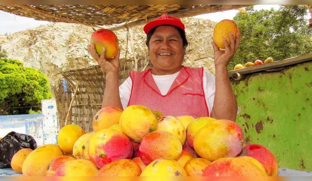 Aprueba norma técnica para impulsar calidad del mango Aprueba norma técnica para impulsar calidad del mango