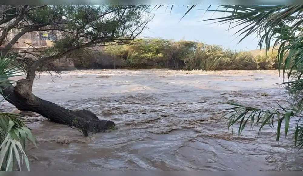 Ica: Tierras de cultivo en peligro por desborde de río Pisco