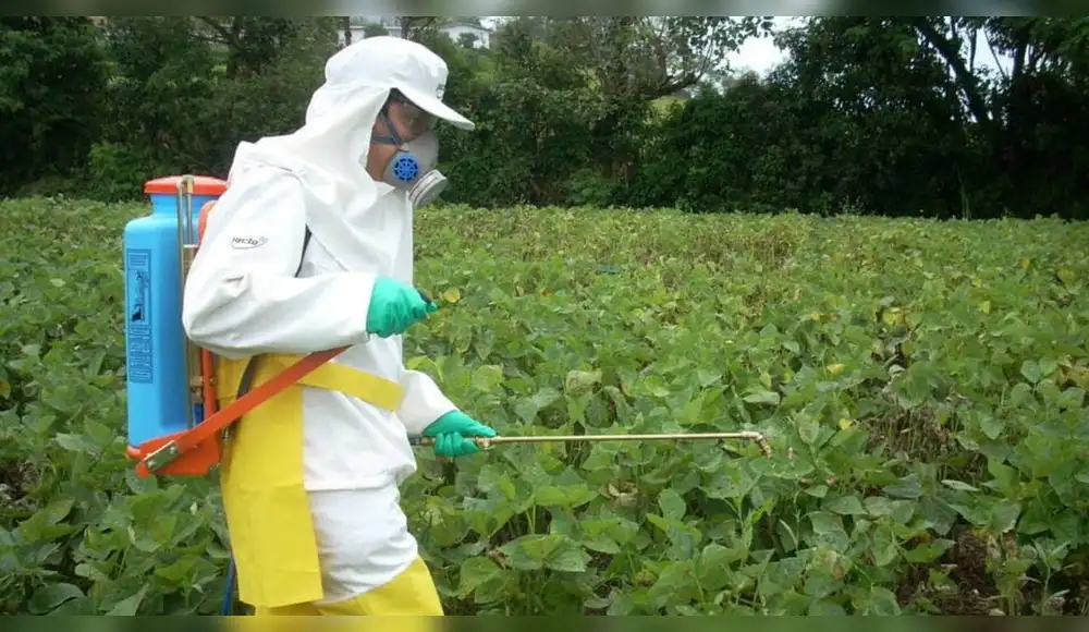 Plaguicidas amenazan los objetivos de conservación de la biodiversidad Plaguicidas amenazan los objetivos de conservación de la biodiversidad