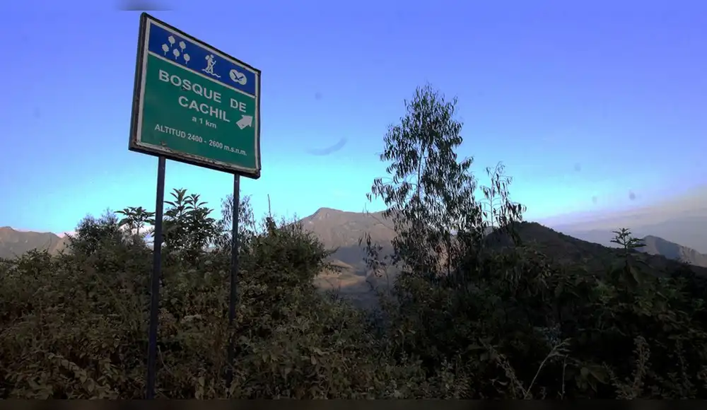 Convenio garantizará abastecimiento de agua en Bosque de Cachil Convenio garantizará abastecimiento de agua en Bosque de Cachil