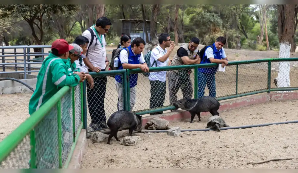 Iquitos: Centros de rescate de animales reciben máxima calificación Iquitos: Centros de rescate de animales reciben máxima calificación