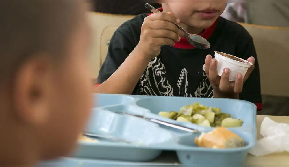 Francia: Niños están expuestos a altos niveles de metales tóxicos