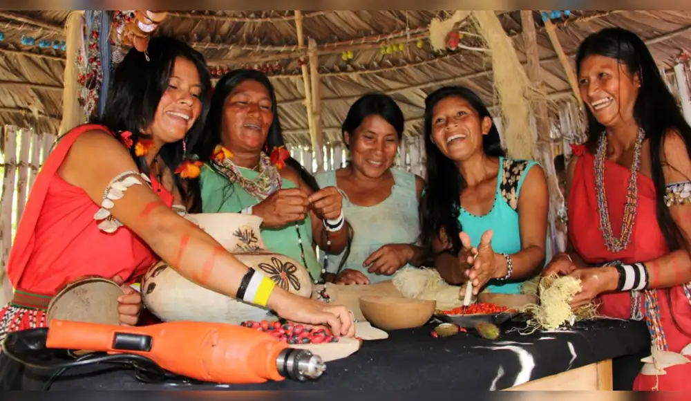 Emprendimientos de la Amazonia recibirán bono de incentivo Emprendimientos de la Amazonia recibirán bono de incentivo