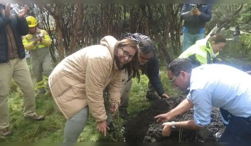 Perú: Restaurarán más de 44,000 hectáreas de ecosistemas andinos