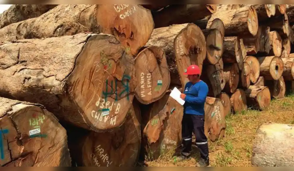 Cofinanciarán pequeñas plantas de transformación de madera Cofinanciarán pequeñas plantas de transformación de madera