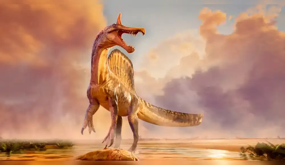 Hallan nueva especie de dinosaurio en el desierto de Sahara