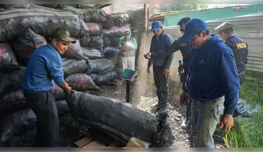 Incautan casi 20 toneladas de carbón ilegal en Áncash Incautan casi 20 toneladas de carbón ilegal en Áncash