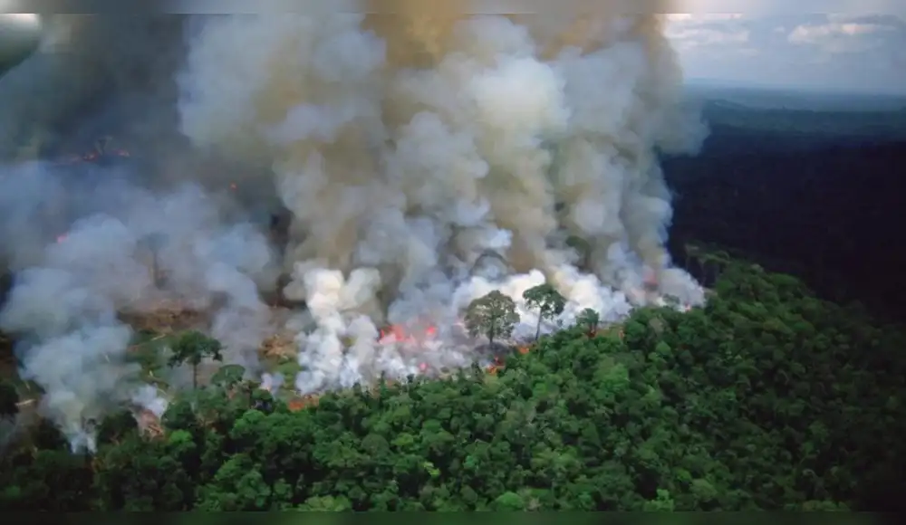 Crecen los incendios forestales en la Amazonía brasileña Crecen los incendios forestales en la Amazonía brasileña