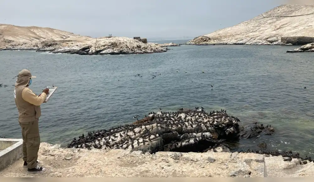 Cerca de 70 especialistas vigilan las islas del Perú