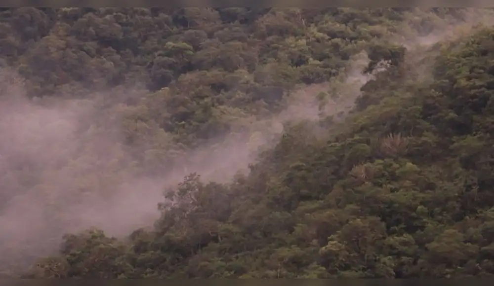 Cajamarca: Establecen Área de Conservación Regional Bosques Montanos de Huamantanga y Chorro Blanco