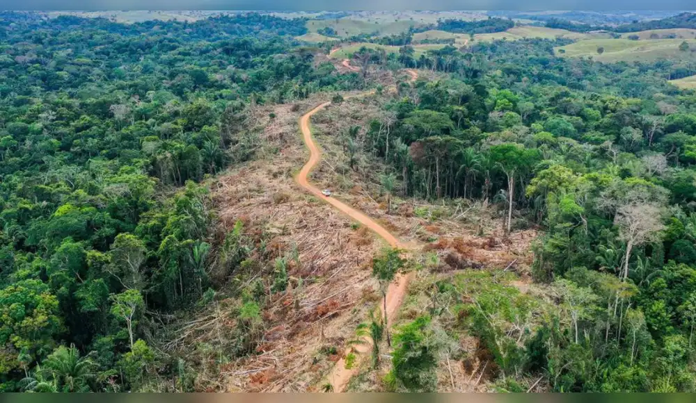 Brasil lanza programa para erradicar deforestación amazónica al 2030 Brasil lanza programa para erradicar deforestación amazónica al 2030